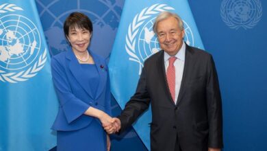 Japan raises UN Council reform with Guterres