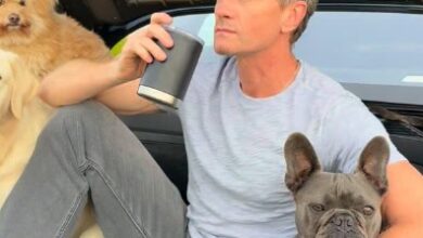 Neil Patrick Harris says ‘older me has no complaints’ as he shares life with four dogs