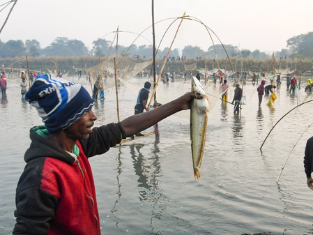 Experts deliberate on WTO fisheries subsidies pact, implementation challenges