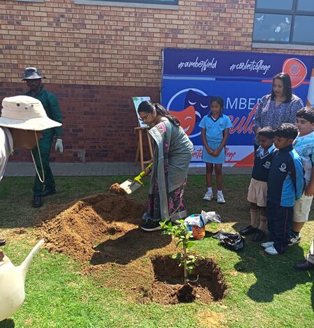 Indian mission in South Africa holds tree plantation drive