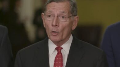 US: Republican senator rejects China ‘sellout’ charge US: Republican senator rejects China ‘sellout’ charge