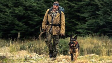 Brad Pitt heaps praise on ‘Heart of the Beast’ canine co-star Uber: He was really good