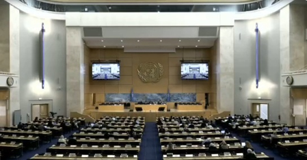 PoJK protest crackdown: Activists urge UNHRC to set up independent probe PoJK protest crackdown: Activists urge UNHRC to set up independent probe