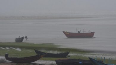 Deep depression brings heavy rain to Odisha, over 8,000 evacuated
