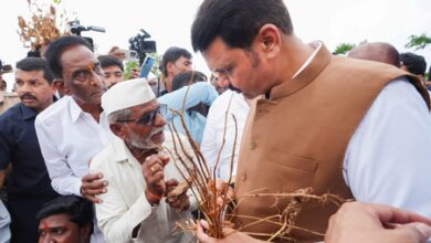 CM Fadnavis reviews crop damage, assures compensation to farmers