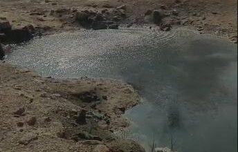 Rajkot civic body uses drones, AI to identify 4,731 potential mosquito breeding sites