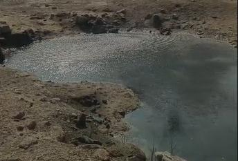 Rajkot civic body uses drones, AI to identify 4,731 potential mosquito breeding sites
