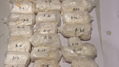 Cocaine tucked into trolley bag handle, plastic supports; Ugandan flyer held at Ahmedabad airport