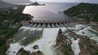 Mettur water yet to reach delta canals, farmers delay samba cultivation Mettur water yet to reach delta canals, farmers delay samba cultivation