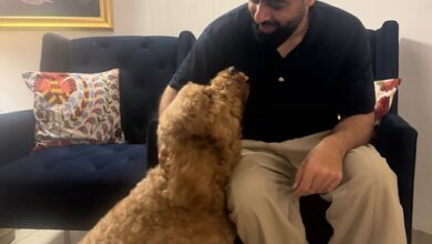 Badshah shares glimpse of his ‘first ever doggo friend’ Laddu Badshah shares glimpse of his ‘first ever doggo friend’ Laddu