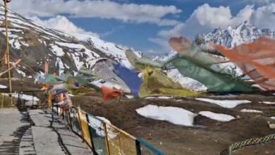 Gangotri-Gaumukh trek tragedy: Maharashtra tourist falls into gorge, remains untraced Gangotri-Gaumukh trek tragedy: Maharashtra tourist falls into gorge, remains untraced