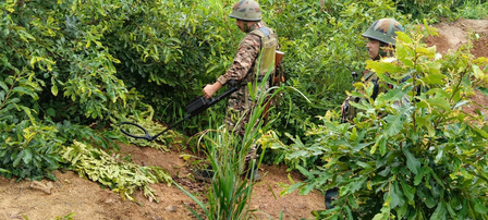 Two more Naga villagers shot dead in Manipur’s Senapati Two more Naga villagers shot dead in Manipur’s Senapati