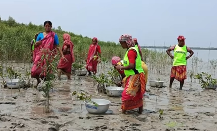 Mangrove plantation providing livelihoods to women in Sundarbans: PM Modi in ‘Mann Ki Baat’