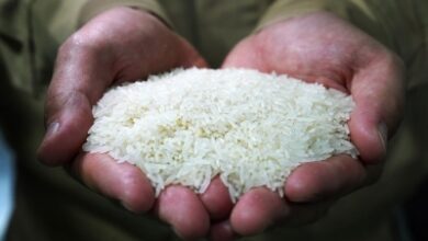 Rice prices rise sharply in Tamil Nadu as paddy supplies fall Rice prices rise sharply in Tamil Nadu as paddy supplies fall