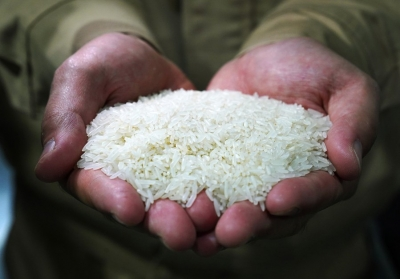 Rice prices rise sharply in Tamil Nadu as paddy supplies fall Rice prices rise sharply in Tamil Nadu as paddy supplies fall