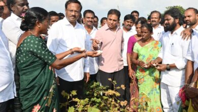 Telangana: Crops drying up despite availability of water in Palamuru, claims KTR Telangana: Crops drying up despite availability of water in Palamuru, claims KTR
