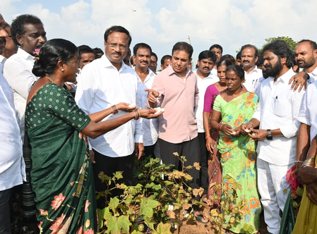 Telangana: Crops drying up despite availability of water in Palamuru, claims KTR Telangana: Crops drying up despite availability of water in Palamuru, claims KTR