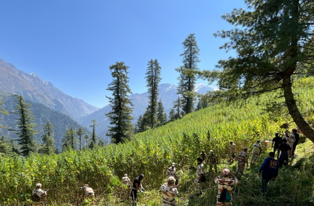 NCB leads major drive, destroys over 61 acres of illegal cannabis in Himachal’s Kullu NCB leads major drive, destroys over 61 acres of illegal cannabis in Himachal’s Kullu