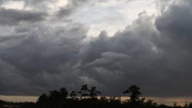 Mexico, US brace for Hurricane Polo Mexico, US brace for Hurricane Polo