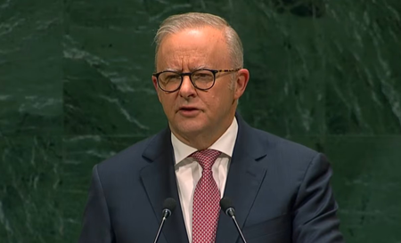 20 nations move to curb social media for kids: Australian PM Albanese at UNGA
