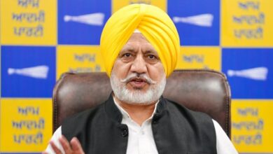 Situation at LPU was highly sensitive, Punjab Police handled situation with restraint: AAP