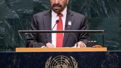 Gulf War: UAE stresses diplomacy to resolve disputes Gulf War: UAE stresses diplomacy to resolve disputes