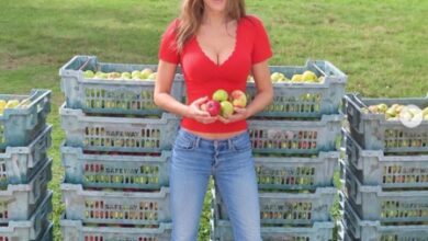 Elizabeth Hurley shares joy of hand-picking apples from her neglected orchard Elizabeth Hurley shares joy of hand-picking apples from her neglected orchard