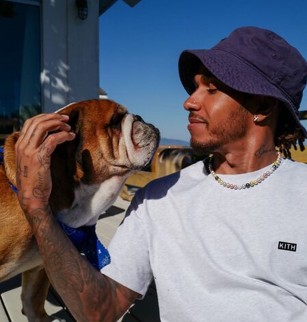 Kim Kardashian’s beau Lewis Hamilton remembers beloved dog on first death anniversary Kim Kardashian’s beau Lewis Hamilton remembers beloved dog on first death anniversary