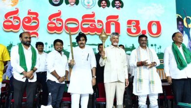 Andhra Pradesh CM warns against obstruction to development
