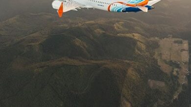 Flydubai cockpit altercation: Indian-origin captain, former SpiceJet pilot identified in FZ1073 emergency landing Flydubai cockpit altercation: Indian-origin captain, former SpiceJet pilot identified in FZ1073 emergency landing