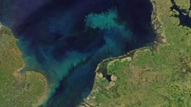 Canada puts C.2 billion behind oceans Canada puts C.2 billion behind oceans