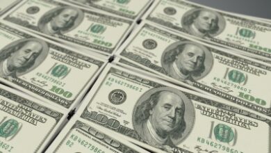 Robust dollar mobilisation provides adequate liquidity ahead of festive season: Report Robust dollar mobilisation provides adequate liquidity ahead of festive season: Report