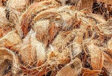 How the humble coir is transforming rural lives in India