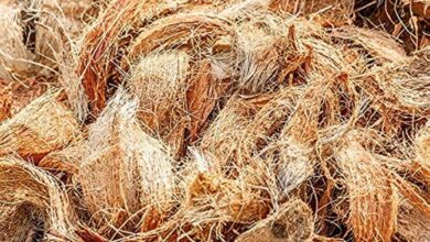 How the humble coir is transforming rural lives in India