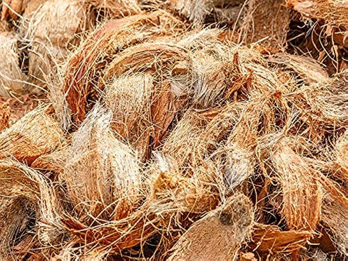 How the humble coir is transforming rural lives in India