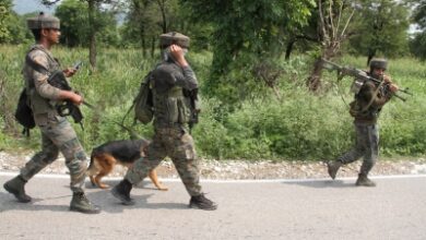 Two Pakistani JeM terrorists killed in J&K’s Udhampur, searches on in area (Lead) Two Pakistani JeM terrorists killed in J&K’s Udhampur, searches on in area (Lead)