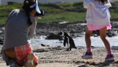 South Africa could see hottest year on record in 2027 amid strong El Nino