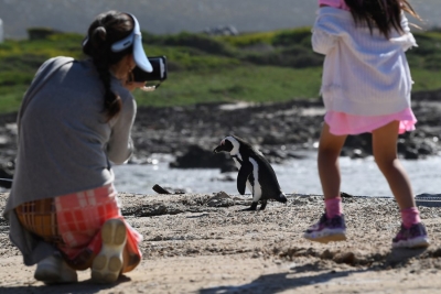 South Africa could see hottest year on record in 2027 amid strong El Nino