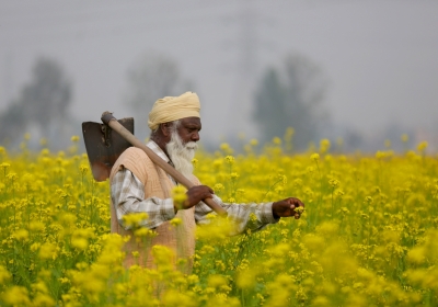 Centre approves increase in MSP for Rabi crops to boost farmers’ income