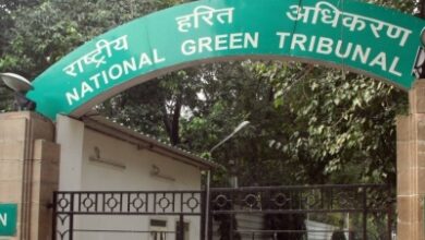 NGT orders Rajasthan to return 2.9087 hectares of forest land in Jaipur NGT orders Rajasthan to return 2.9087 hectares of forest land in Jaipur