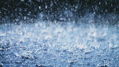 Kerala faces 28 per cent monsoon rain deficit, Wayanad worst hit