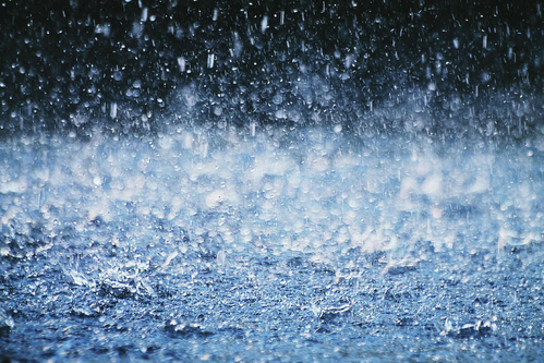 Kerala faces 28 per cent monsoon rain deficit, Wayanad worst hit Kerala faces 28 per cent monsoon rain deficit, Wayanad worst hit