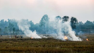 404 incidents of stubble burning recorded in Punjab; FIR registered in 39 404 incidents of stubble burning recorded in Punjab; FIR registered in 39