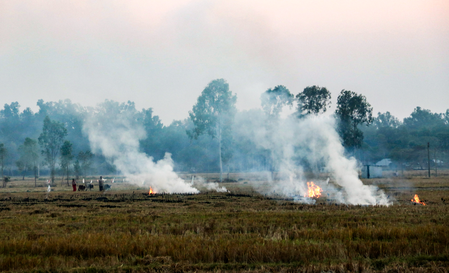 404 incidents of stubble burning recorded in Punjab; FIR registered in 39
