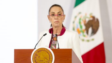 Mexico to continue ‘mirror’ operations with US to avoid border incidents: Prez Sheinbaum