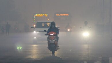 14 killed in lightning strikes in Tamil Nadu since onset of monsoon; tourists barred from hill station 14 killed in lightning strikes in Tamil Nadu since onset of monsoon; tourists barred from hill station