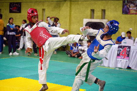 Asian Games: India draw a blank in taekwondo to end campaign Asian Games: India draw a blank in taekwondo to end campaign