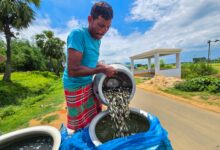 Govt doubles down on fisheries sector to transform India’s Blue Economy Govt doubles down on fisheries sector to transform India’s Blue Economy