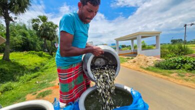 Govt doubles down on fisheries sector to transform India’s Blue Economy Govt doubles down on fisheries sector to transform India’s Blue Economy