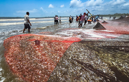 Fisheries conclave to help improve market access, returns for fishermen: Govt